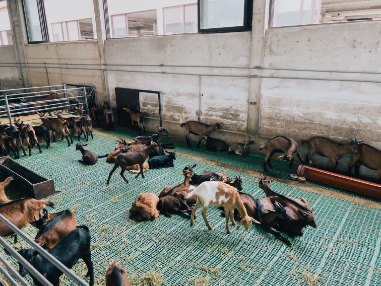 Housing Design Housing Design